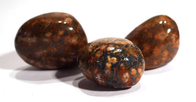 Leopardskin Jasper Tumble Stone